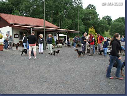 pinschertage2008_02.jpg