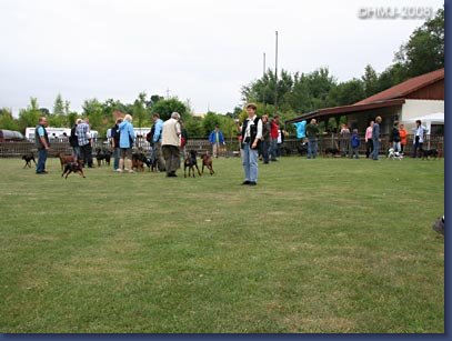 pinschertage2008_05.jpg