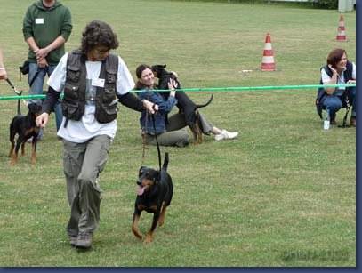 pinschertage2008_11.jpg