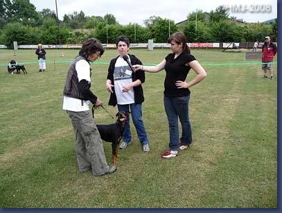 pinschertage2008_13.jpg