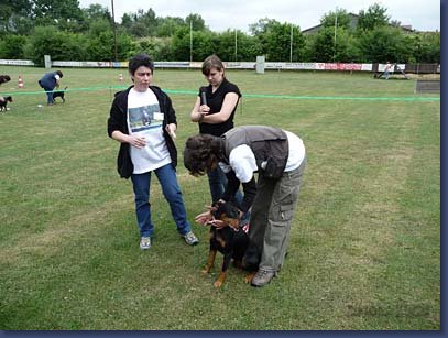 pinschertage2008_14.jpg