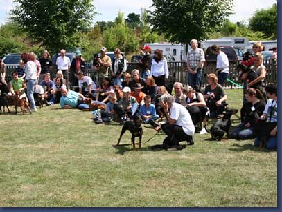 pinschertage2008_19.jpg