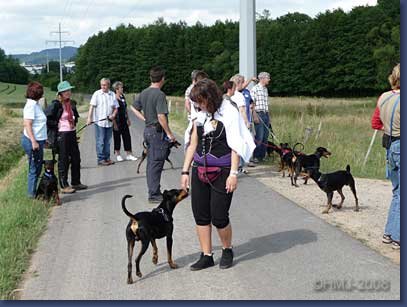pinschertage2008_25.jpg