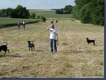 pinschertage2008_26.jpg