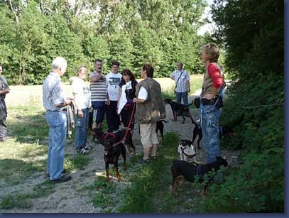 pinschertage2008_27.jpg