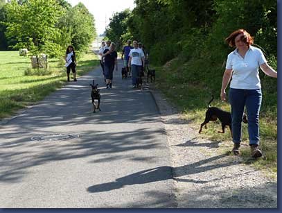 pinschertage2008_28.jpg