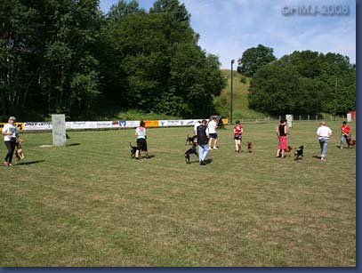 pinschertage2008_29.jpg