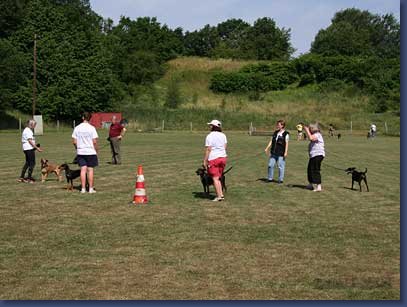pinschertage2008_32.jpg