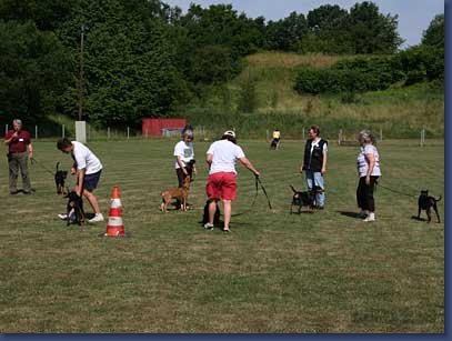 pinschertage2008_33.jpg