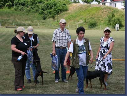 pinschertage2008_40.jpg