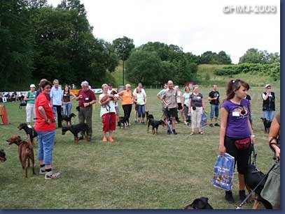 pinschertage2008_41.jpg