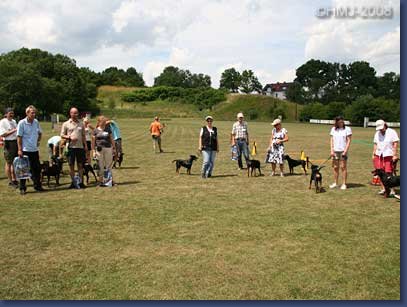 pinschertage2008_43.jpg