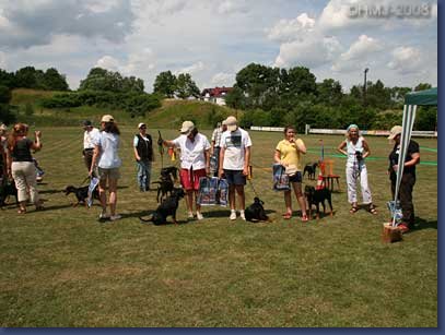pinschertage2008_44.jpg