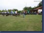 pinschertage2008_05.jpg