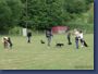 pinschertage2008_07.jpg