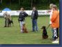 pinschertage2008_10.jpg