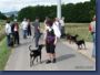 pinschertage2008_25.jpg