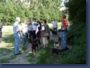 pinschertage2008_27.jpg
