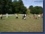 pinschertage2008_29.jpg