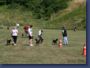 pinschertage2008_30.jpg