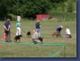 pinschertage2008_34.jpg