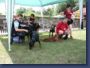 pinschertage2008_36.jpg