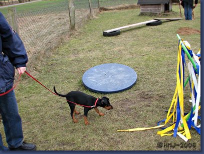 12_n_18-02-06.jpg